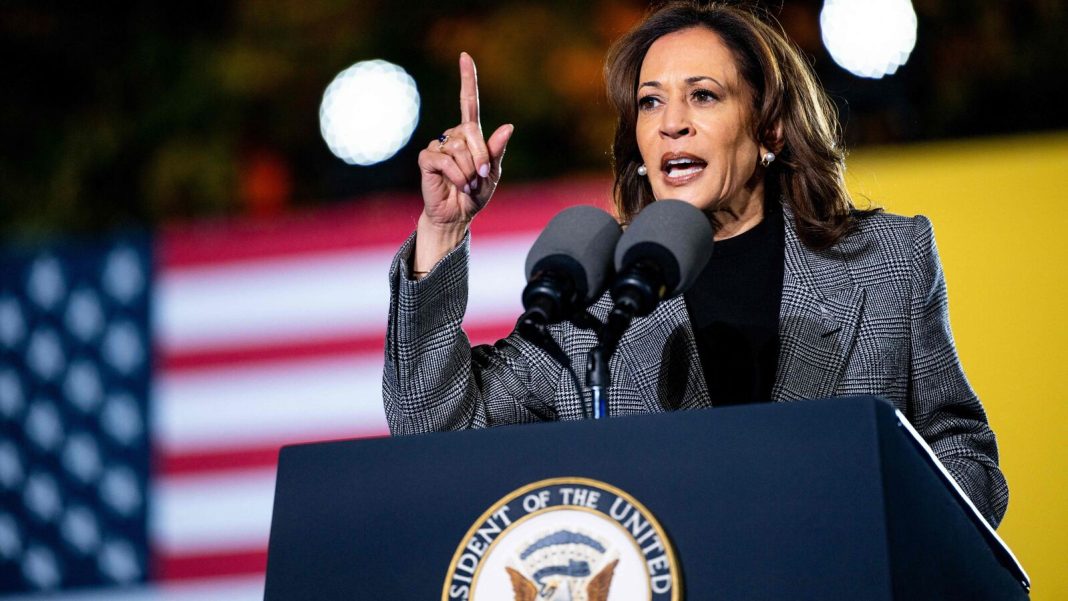 Democratic presidential nominee Kamala Harris speaks during a campaign rally (Image: AFP)